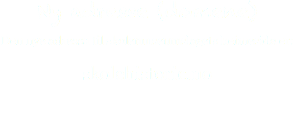 Ny adresse (domene) Den nye adressa til skolemuseumslagets heimeside er:  skolehistorie.no